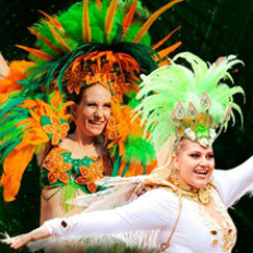 Brazilian Party image