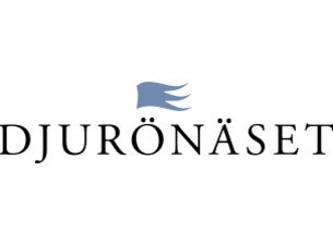 A Christmas to Remember