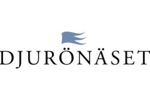 A Christmas to Remember