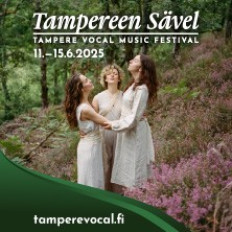 Festivaalipassi 2025 image