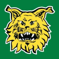 Ilves - Gnistan Ilves - Gnistan image