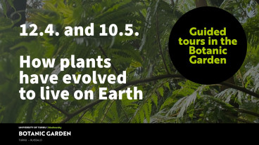 Fredrika Runebergin kasvit â keskiviikkokierrokset