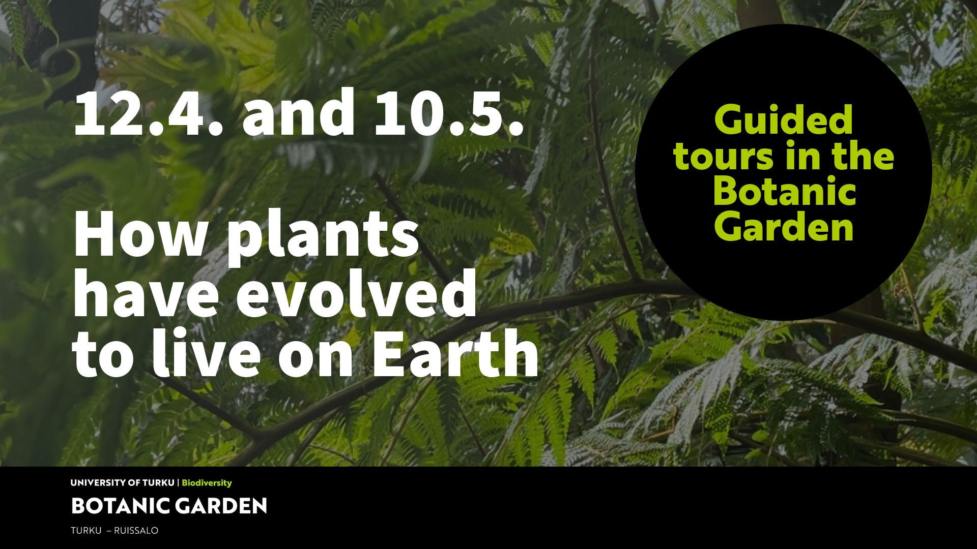 Fredrika Runebergin kasvit â keskiviikkokierrokset