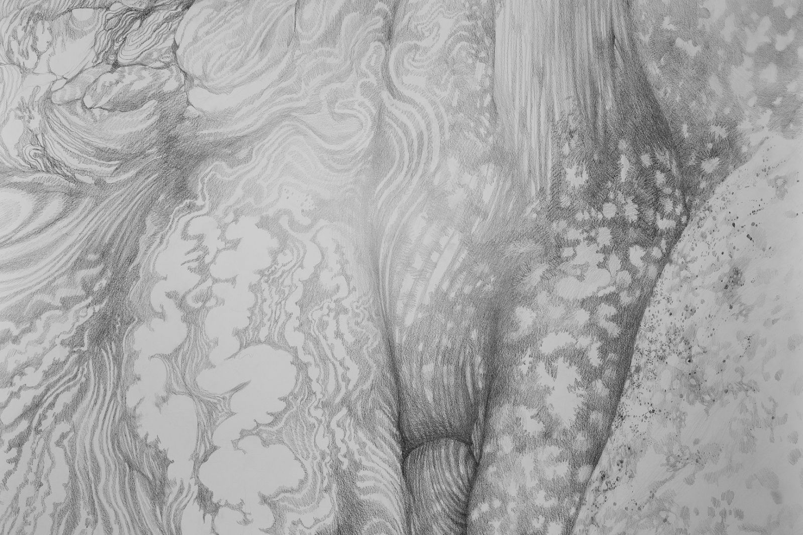 Hannu Hautala: Poika, joka rakasti lintuja