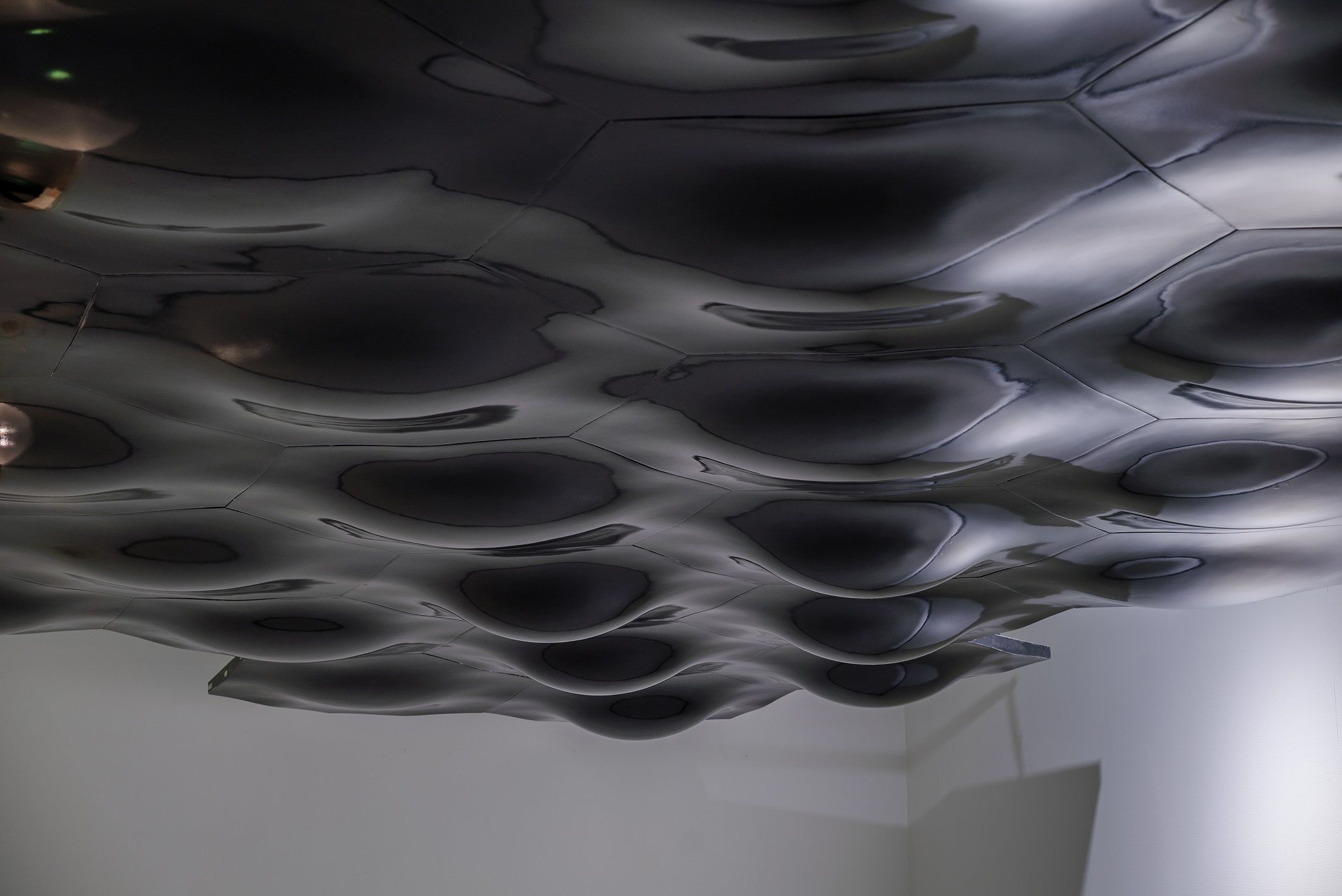 Hannu Hautala: Poika, joka rakasti lintuja