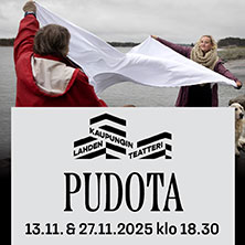 Pudota