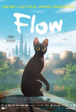 Flow image