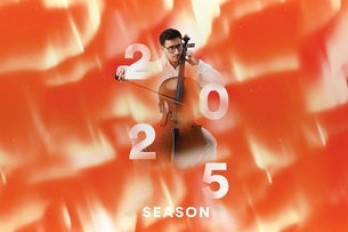 Emerging Artists image