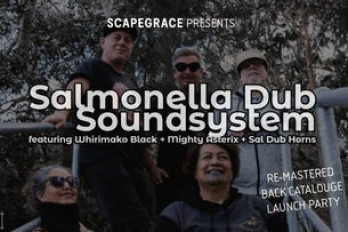 Salmonella Dub Soundsystem image