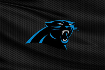 Carolina Panthers v New Orleans Saints image
