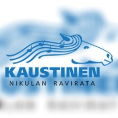 Lauantairavit image