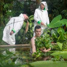 Vox Herbārium - Plant Series IVS