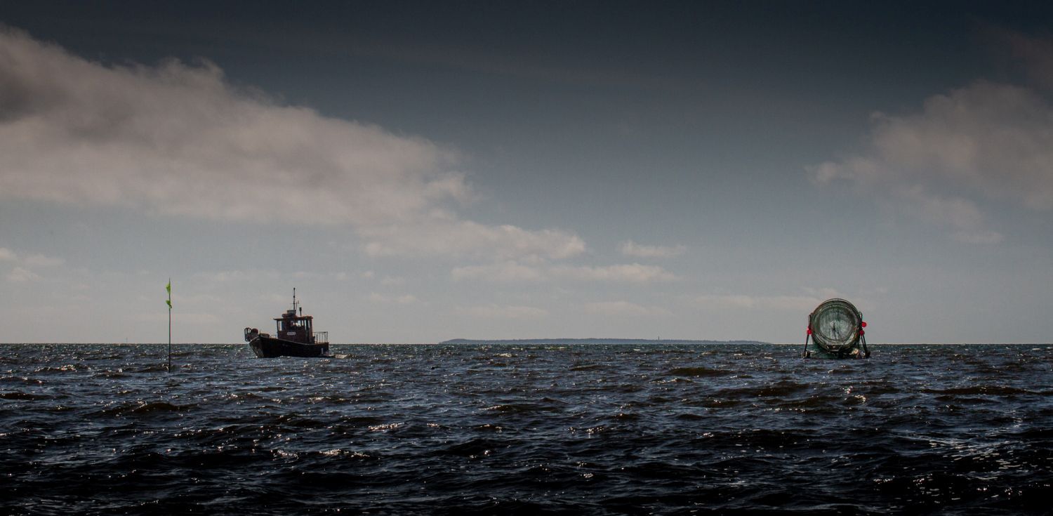 EsitelmÃ¤ Merimakasiinissa: Suomen kalastuselinkeino mereltÃ¤ ja rannikolta aina jÃ¤rville asti