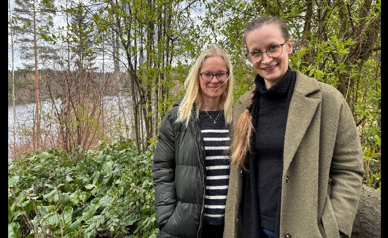 Café Barock: Paluu juurille