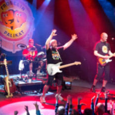 Fröbelin Palikat-lastenkonsertti image