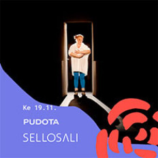 Sellosali: Pudota image