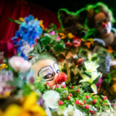 Kuolematon Punahilkka - satu aikuisille Kuolematon Punahilkka - satu aikuisille image