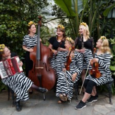Lastenmusiikkiyhtye Leimu Lastenmusiikkiyhtye Leimu image