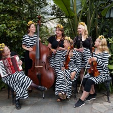 Lastenmusiikkiyhtye Leimu