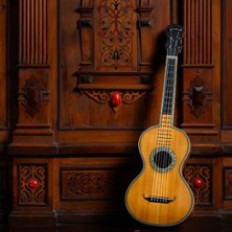 Turun kitaraseura / Åbo gitarrsällskap image