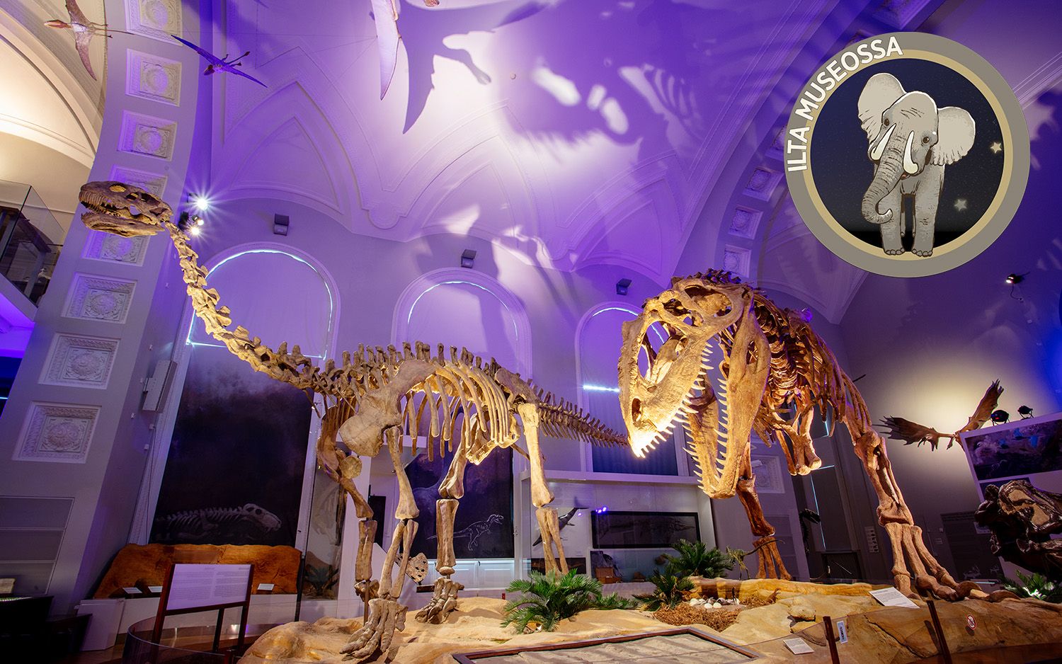 Ilta museossa: Dinosaurukset