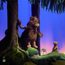 Karhu jota ei ollutkaan