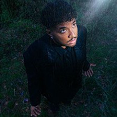 ANI image