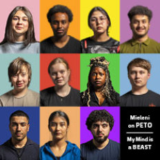 Mieleni on peto image