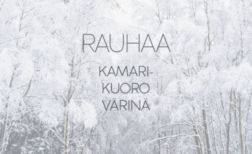 Joulukonsertti Rauhaa image