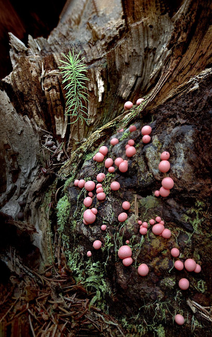 Kirjailijan kierros nÃ¤yttelyyn: Anneli Jussila