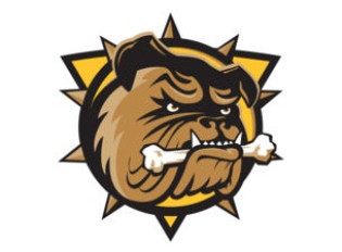 Brantford Bulldogs vs. Sudbury Wolves image