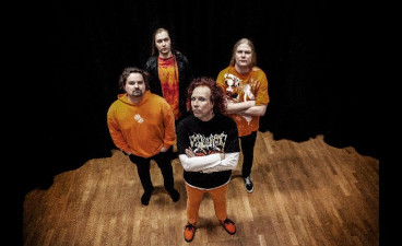 Waltari image