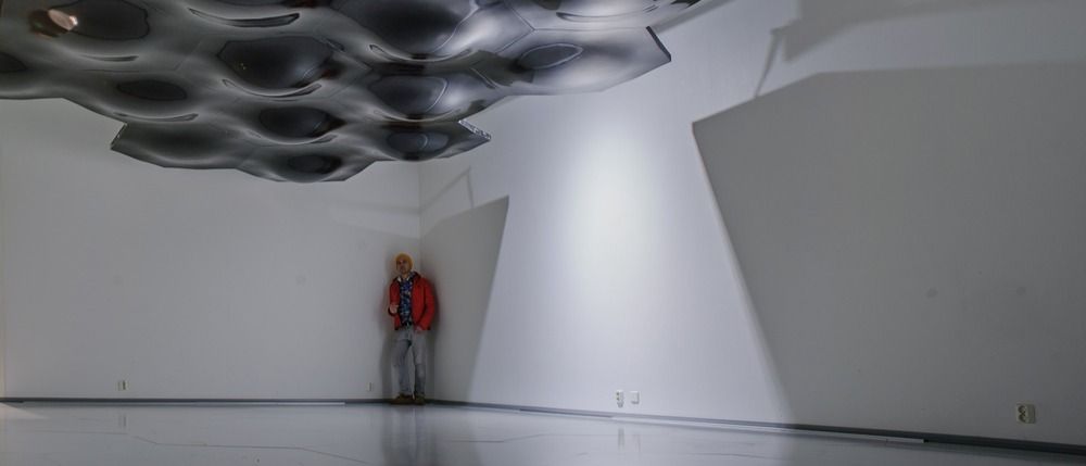 Hannu Hautala: Poika, joka rakasti lintuja