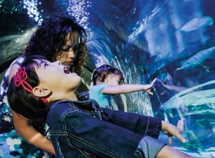 Sea Life London Aquarium - Standard Entry