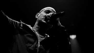 Hugo TSR image