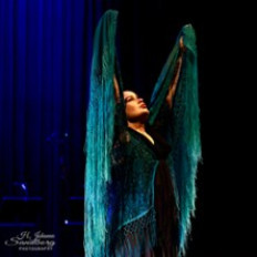 Milagro de Navidad 2025