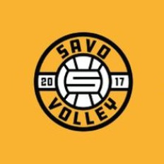 Savo Volley - Raision Loimu image