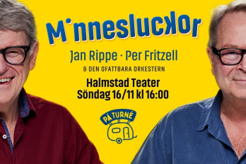 MINNESLUCKOR - JAN RIPPE & PER FRITZELL image
