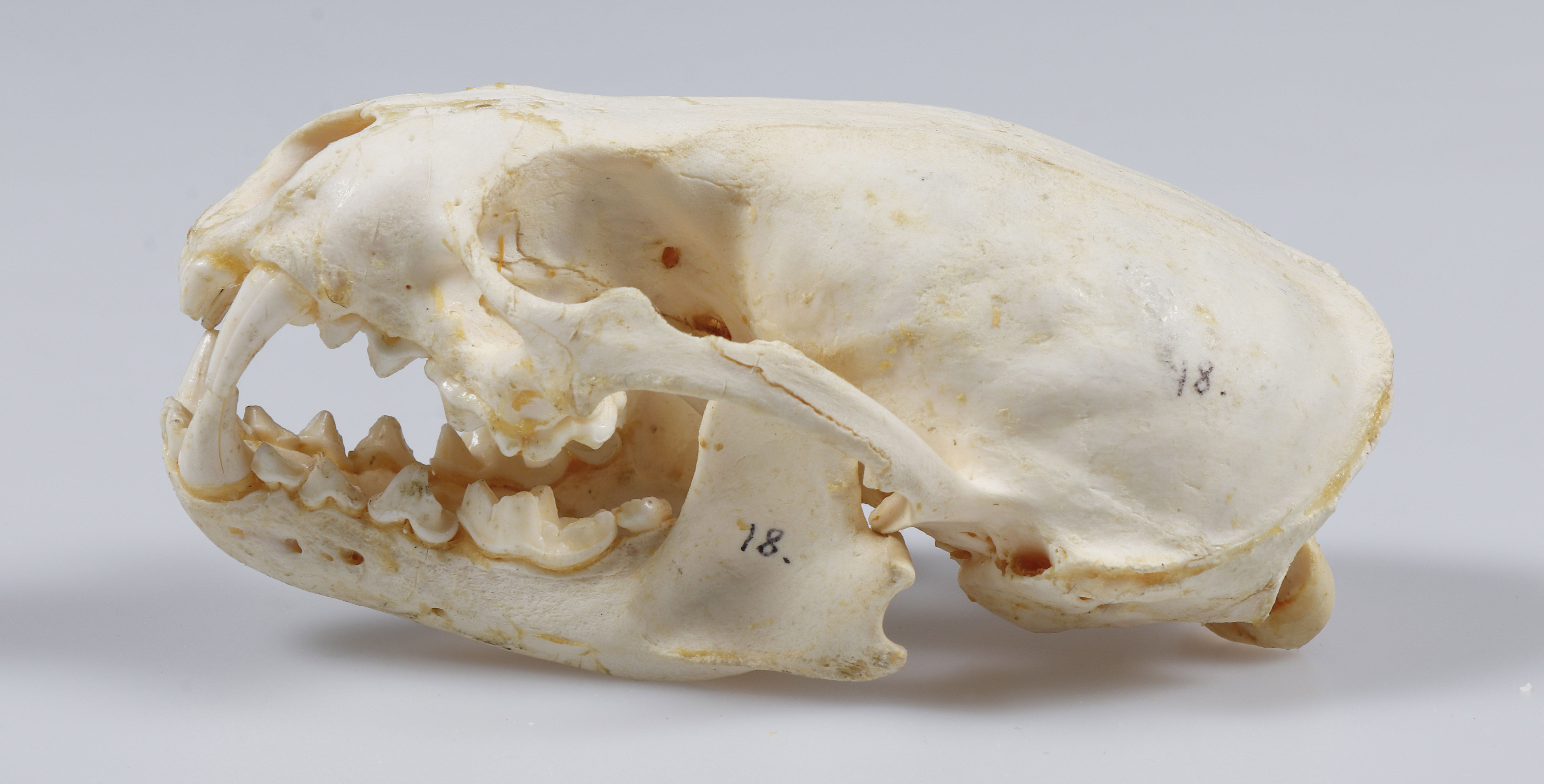 Lapin maakuntamuseon osallistavat yleisÃ¶tapahtumat - Tule ideoimaan uutta perusnÃ¤yttelyÃ¤ kanssamme!