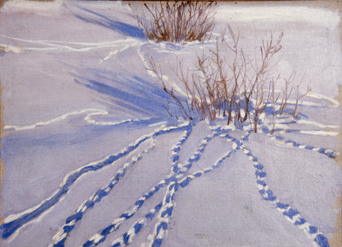 Kirjailijan kierros nÃ¤yttelyyn: Anneli Jussila