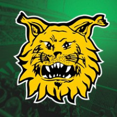 Ilves - SJK image