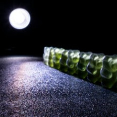 &FEST: THE GUMMY BEARS' GREAT WAR, ESPOON TEATTERI