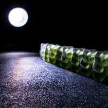 &FEST: THE GUMMY BEARS' GREAT WAR, ESPOON TEATTERI