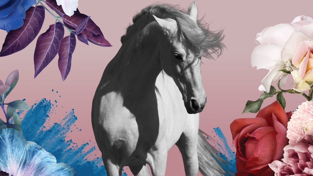 GOTHENBURG HORSE SHOW 2026 SÖNDAG DAG - 8