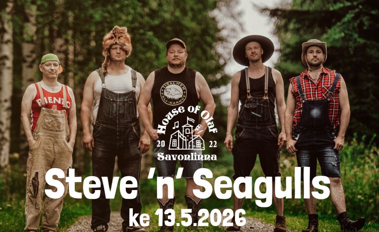 Steve 'n' Seagulls