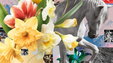 GOTHENBURG HORSE SHOW 2026 FREDAG DAG - 4 image