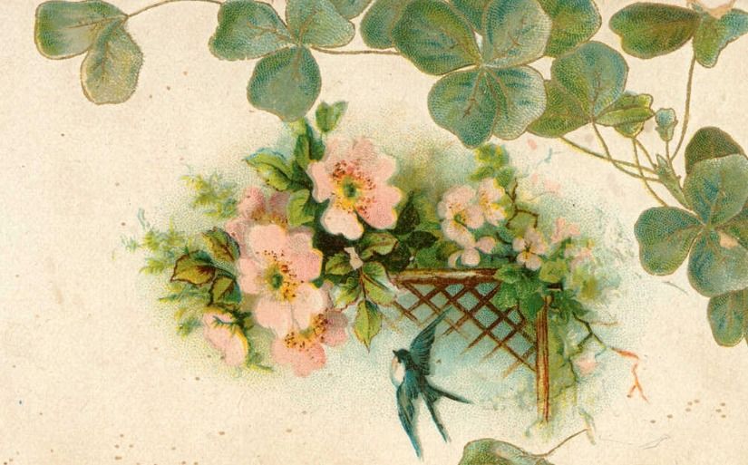 Les chemins de lâamour