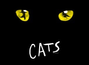 CATS The Musical