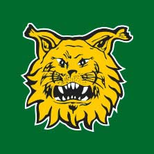 Auroraliiga Ilves - Kuortane