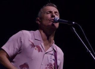 James Reyne image